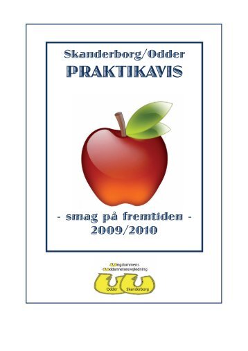 PRAKTIKAVIS - UU Odder Skanderborg