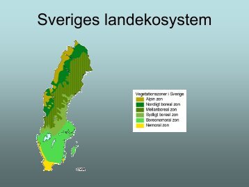 Sveriges landekosystem