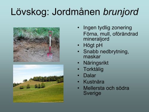 Sveriges landekosystem
