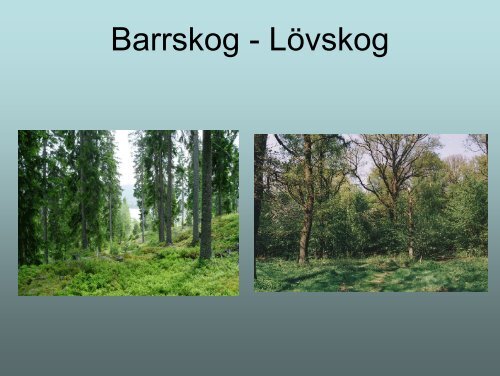Sveriges landekosystem