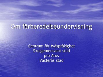Introduktionsgrupp - Västerås stad