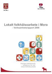 Lokalt folkhälsoarbete i Mora - Mora Kommun