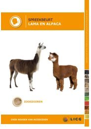 Download de lama en alpaca spreekbeurt - Kids - LICG