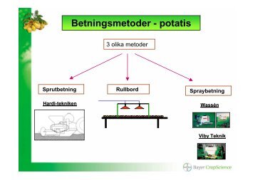 Betningsmetoder - potatis - Bayer CropScience