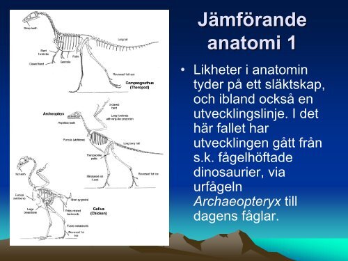 Ladda ner (PDF) - NVB10