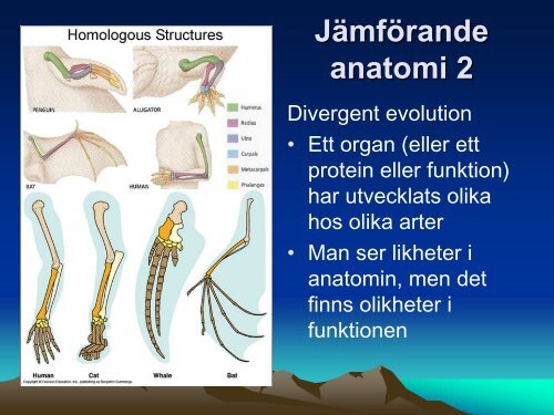 Ladda ner (PDF) - NVB10