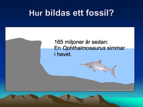 Ladda ner (PDF) - NVB10