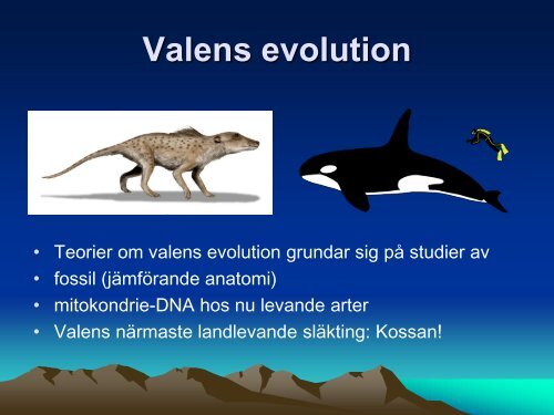 Ladda ner (PDF) - NVB10