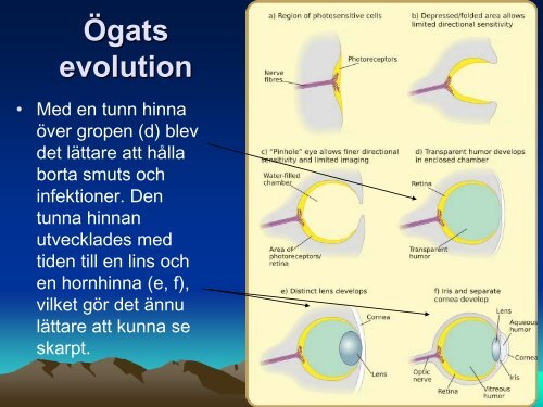 Ladda ner (PDF) - NVB10