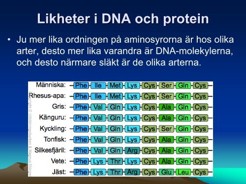 Ladda ner (PDF) - NVB10