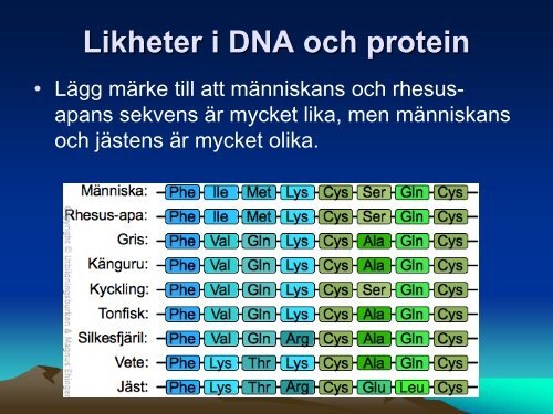 Ladda ner (PDF) - NVB10