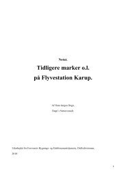 Tidligere marker o.l. på Flyvestation Karup.pdf