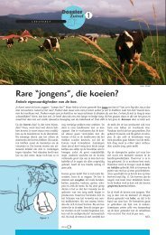 Rare “jongens”, die koeien? - Grasspriet