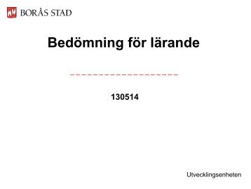 Borås stad.pdf