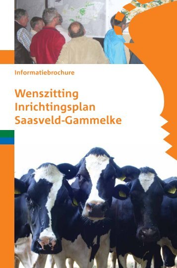 Plan van Toedeling - Landinrichting Saasveld-Gammelke