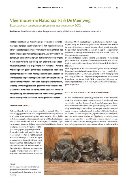 Natuurhistorisch Maandblad - Bionet Natuuronderzoek