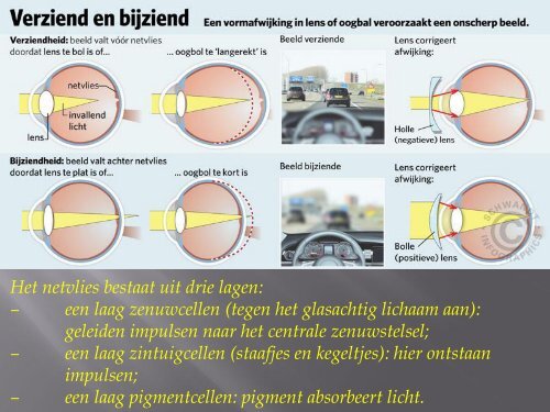 LES_Thema_Zintuigelijke_waarneming - Ashvin Sewsahai