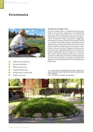 Perennmatta - Veg Tech