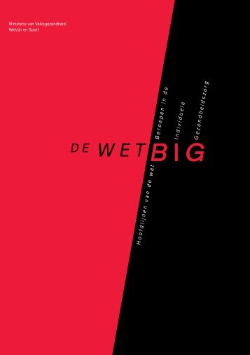 VWS-brochure Hoofdlijnen van de wet BIG - NIP