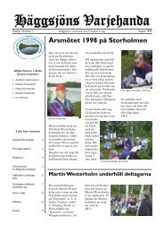 Häggsjöns Varjehanda nr 1 1998 - Häggsjöns intresse