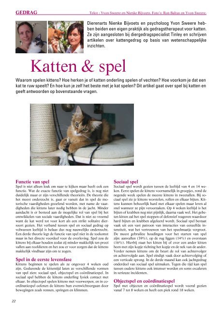 Katten & spel