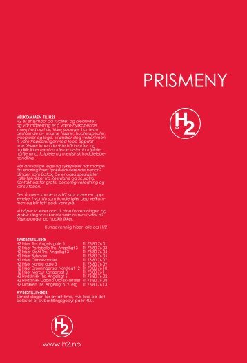 PRISMENY - H2