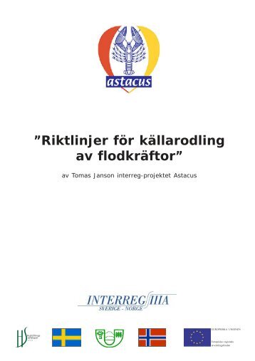 Hur man odlar kräftor i sin ”källare”?!