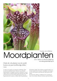 Moordplanten - Arboretum Oudenbosch