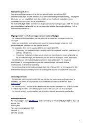 Maatwerkbudget 2013: Voor samenwerkingsverbanden die al ... - BKK