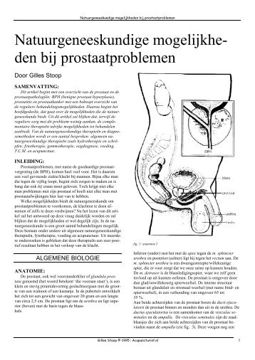 prostaat-acupunctuur-artikel-gilles-stoop-1995 - Acupuncturist.nl