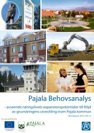 Behovsanalys - Pajala