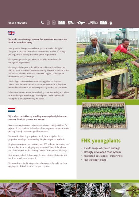 bekijk - FNK Youngplants