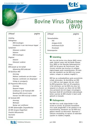 Bovine Virus Diarree (BVD) - Dierenarts Zutphen- Laren
