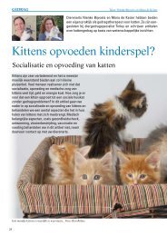 Socialisatie en opvoeding van katten - Kattengedragstherapeut ...