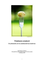 Potatisens smakord - Ny Nordisk Mat