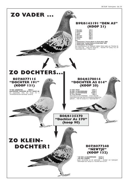 sensationele verkoping van de topkolonie van - Exclusive Pigeons