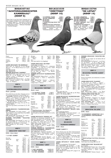 sensationele verkoping van de topkolonie van - Exclusive Pigeons