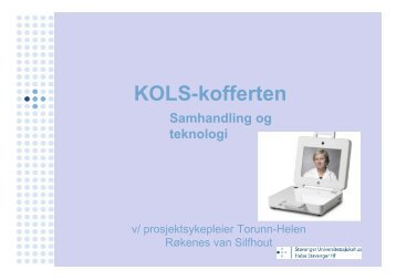 Torunn-Helen Røkenes van Silfhout - KOLS-koffert