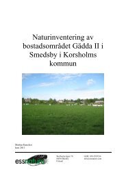 Naturinventering av Hannula detaljplaneområde i Larsmo - Mustasaari