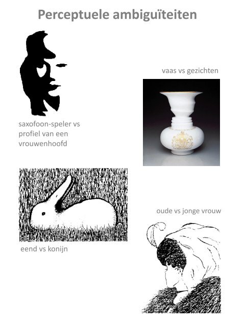 Een Oog voor Kunst (Wagemans 2010).pdf - Gestalt ReVision