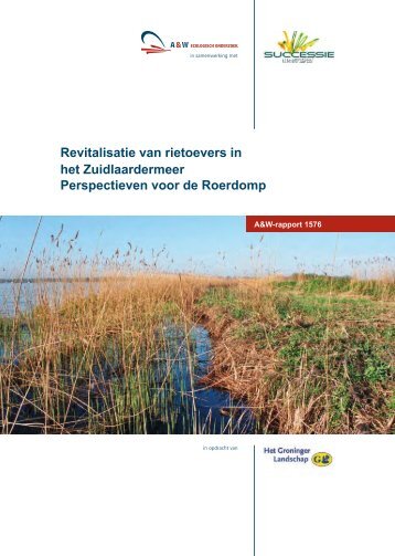 Revitalisatie van rietoevers in het Zuidlaardermeer Perspectieven ...