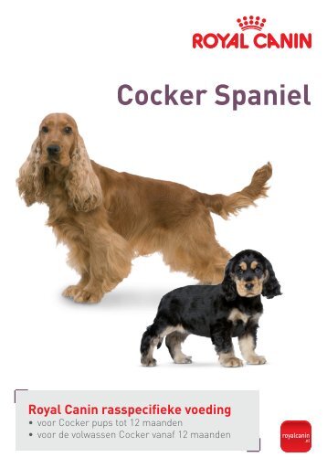 Download de folder (pdf) - Royal Canin