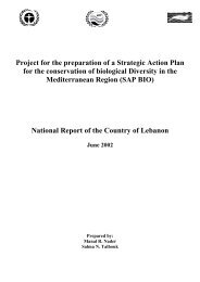 Project for the preparation of a Strategic Action Plan for the ...