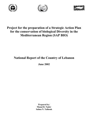 Project for the preparation of a Strategic Action Plan for the ...