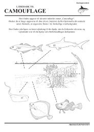 Opgaveark om camouflage - Kattegatcentret