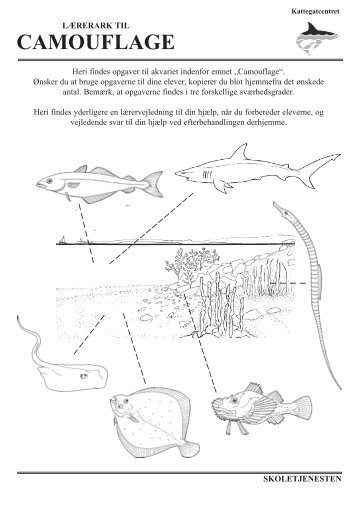 Opgaveark om camouflage - Kattegatcentret