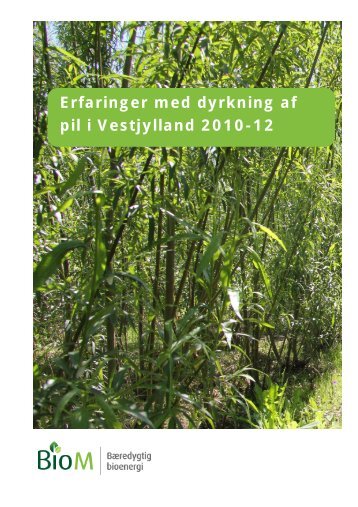 Erfaringer med dyrkning af pil i Vestjylland 2010-12 - AgroTech