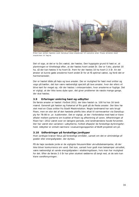 Erfaringer med dyrkning af pil i Vestjylland 2010-12 - AgroTech