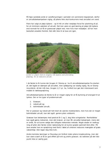 Erfaringer med dyrkning af pil i Vestjylland 2010-12 - AgroTech