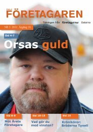 Dalaföretagaren nr.3 2011 - Reporter AB